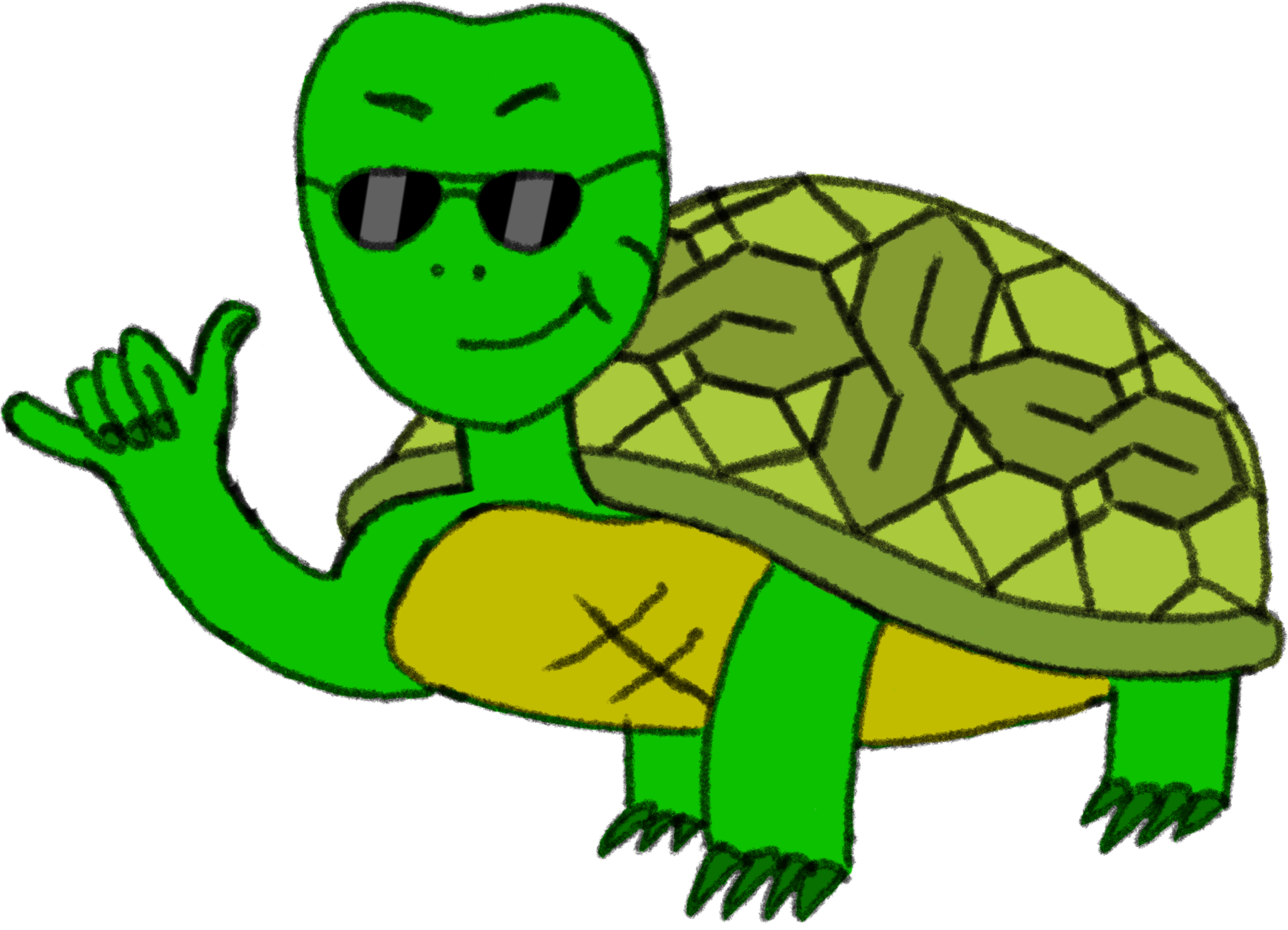 A chill ass tortuga